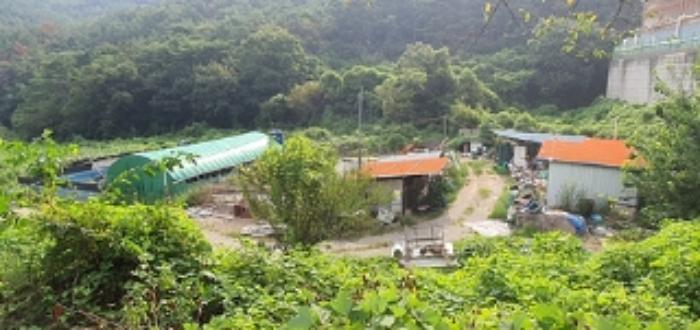 경상남도 김해시 생림면 도요리 561 답 경매 사진 11