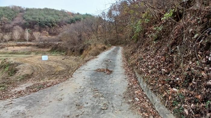 경상남도 거창군 위천면 모동리 산113 임야 경매 사진 14