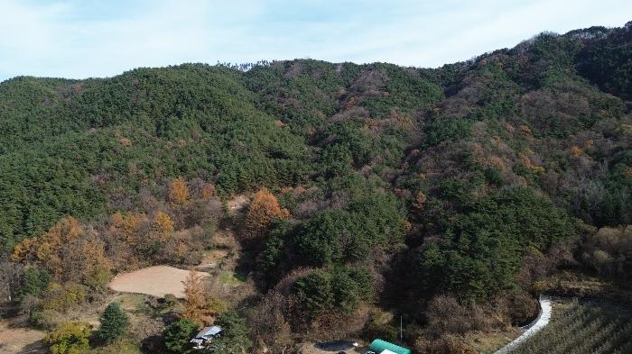 경상남도 거창군 위천면 모동리 산113 임야 경매 사진 27