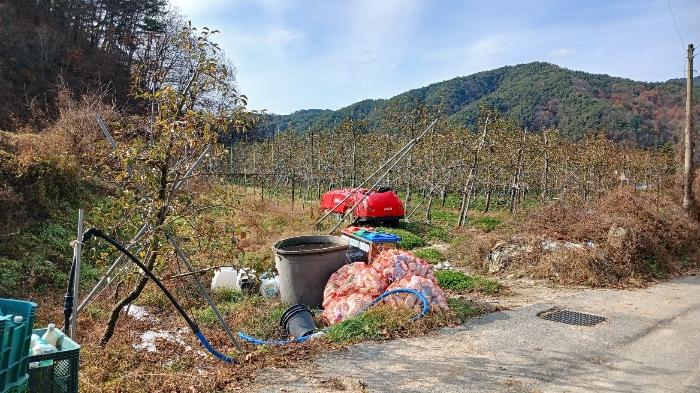 경상남도 거창군 위천면 모동리 산113 임야 경매 사진 31