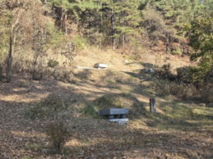 경상남도 거창군 위천면 모동리 산113 임야 경매 사진 47