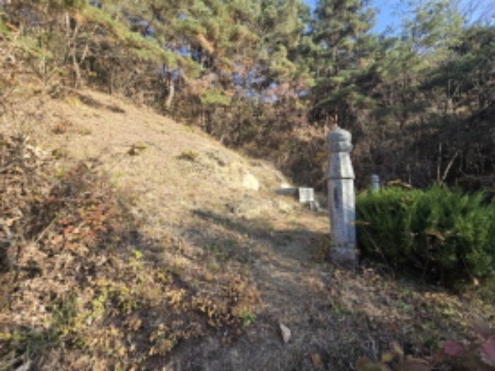경상남도 거창군 위천면 모동리 산113 임야 경매 사진 50