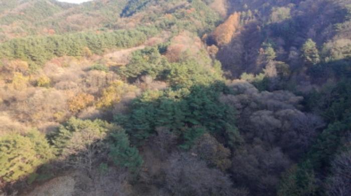 경상남도 거창군 위천면 모동리 산113 임야 경매 사진 69