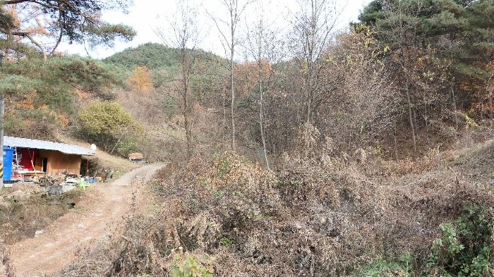 경상남도 거창군 위천면 모동리 738-7 답 경매 사진 16