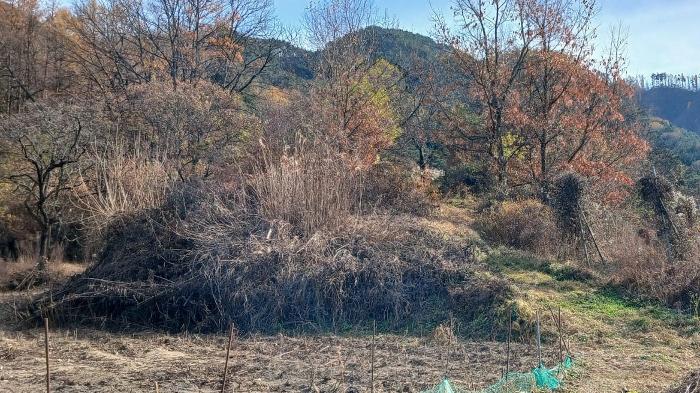 경상남도 거창군 위천면 모동리 738-7 답 경매 사진 3