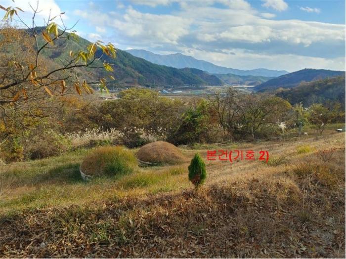 경상남도 합천군 쌍백면 하신리 산47-7 임야 경매 사진 5