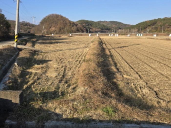 경상남도 합천군 쌍백면 하신리 산47-7 임야 경매 사진 7