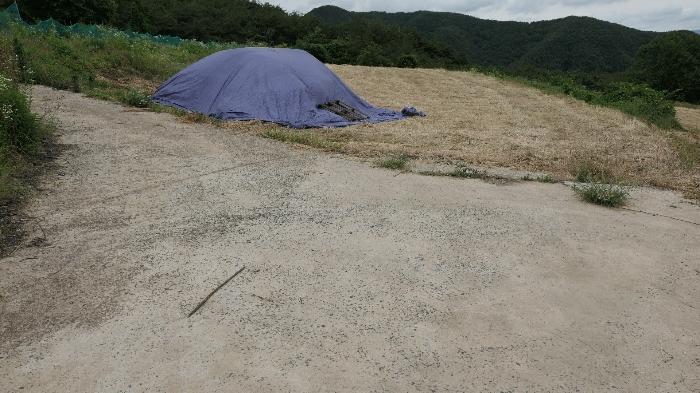 경상남도 합천군 가회면 월계리 746-1 대지 경매 사진 1