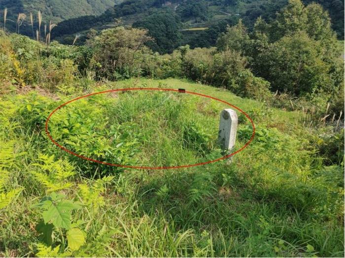 경상남도 함양군 마천면 가흥리 산72-1 임야 경매 사진 11