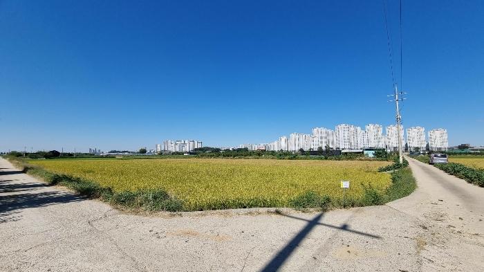 경기도 평택시 소사동 535-7 답 경매 사진 2