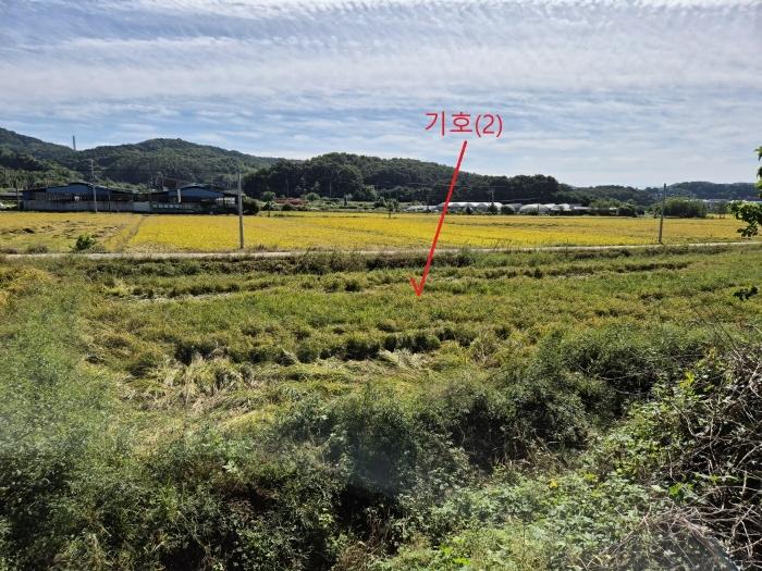 경기도 안성시 보개면 신안리 515 답 경매 사진 5