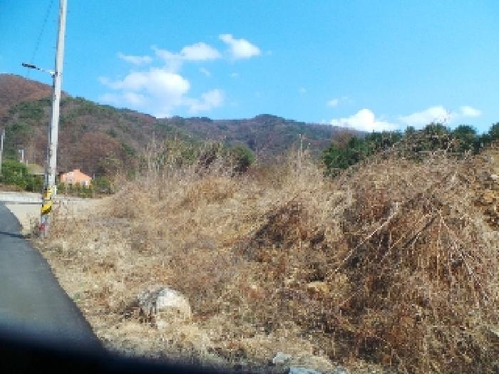 강원특별자치도 춘천시 동내면 거두리 29 전 경매 사진 14