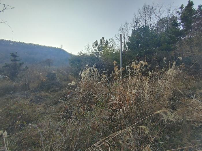 경상남도 고성군 하이면 월흥리 1591 답 경매 사진 2