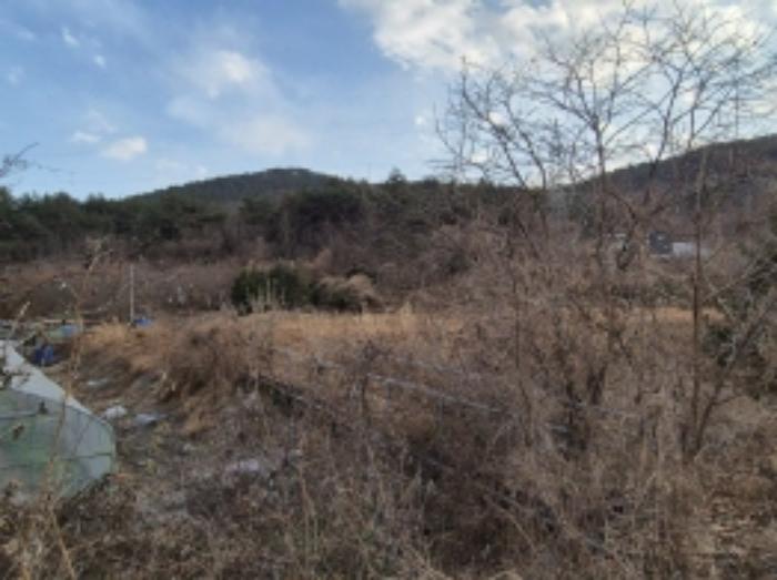 경상남도 고성군 하이면 월흥리 1591 답 경매 사진 22
