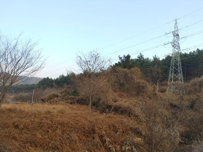 경상남도 고성군 하이면 월흥리 1591 답 경매 사진 4