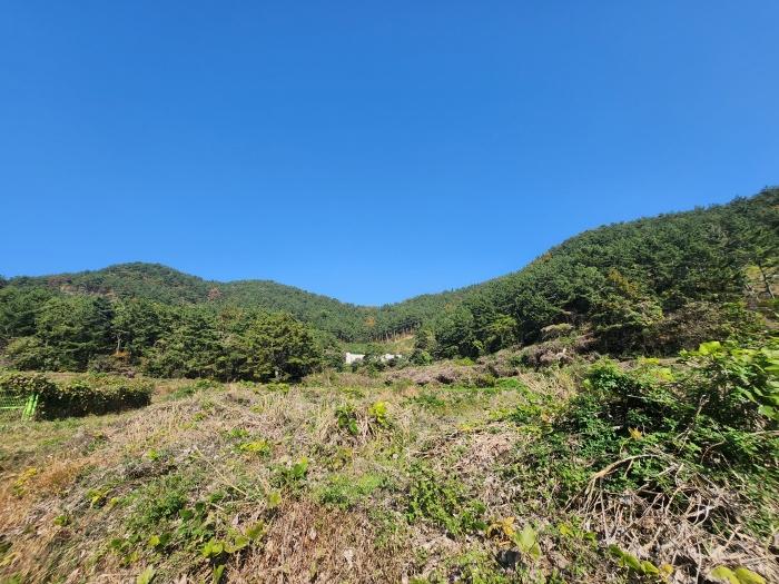 경상남도 고성군 하이면 덕명리 570 답 경매 사진 2