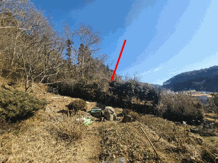 경상남도 통영시 산양읍 신전리 799 전 경매 사진 3