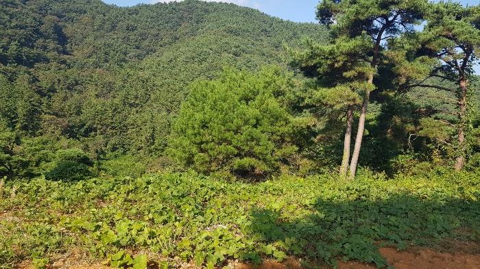 경상남도 고성군 마암면 석마리 405-9 전 경매 사진 2