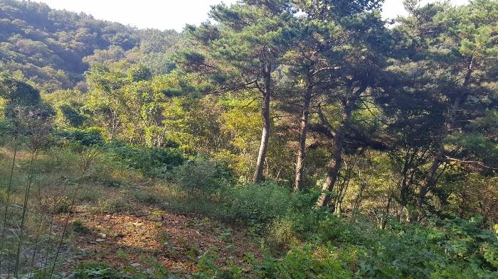 경상남도 고성군 마암면 석마리 405-9 전 경매 사진 3