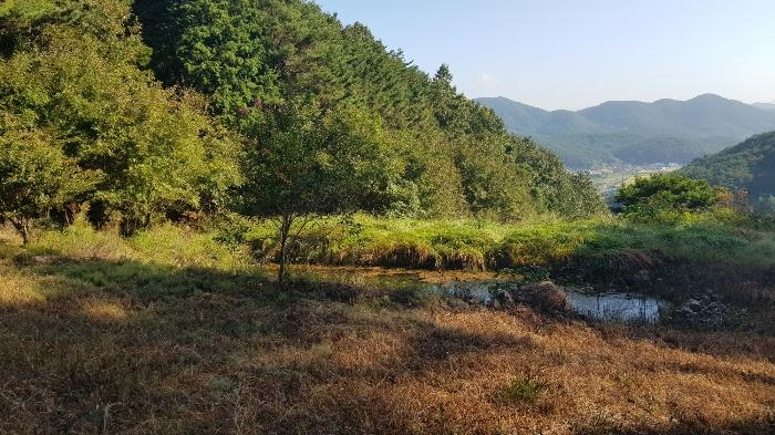 경상남도 고성군 마암면 석마리 405-9 전 경매 사진 32