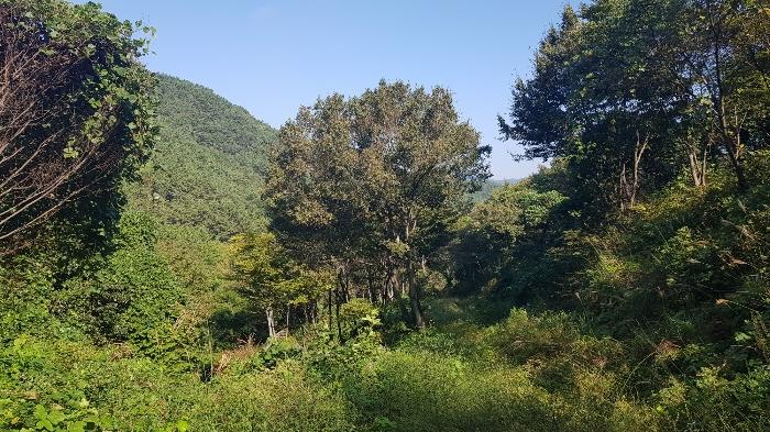 경상남도 고성군 마암면 석마리 405-9 전 경매 사진 4