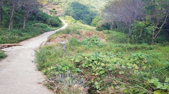 경상남도 고성군 마암면 석마리 405-9 전 경매 사진 46