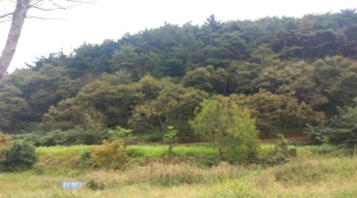 경상남도 고성군 마암면 석마리 405-9 전 경매 사진 71