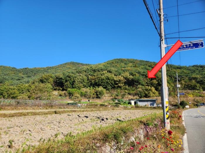 경상남도 고성군 동해면 용정리 839 임야 경매 사진 2