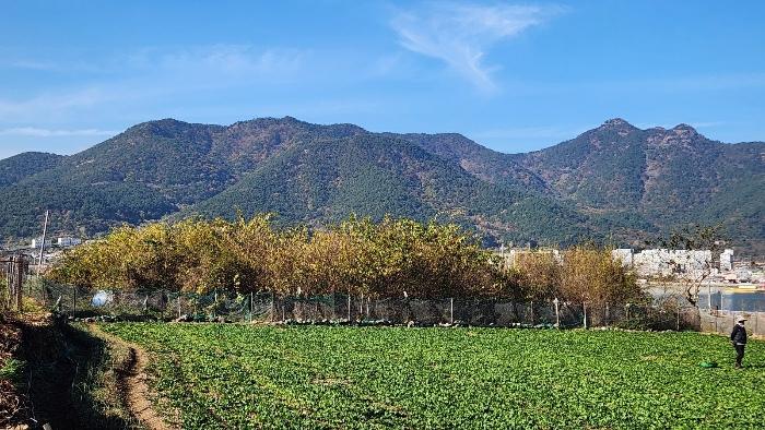 경상남도 고성군 거류면 당동6길 17, 지하층상가-101호 (까치빌라)구) 경상남도 고성군 거류면 당동리 81-7 근린상가 경매 사진 2