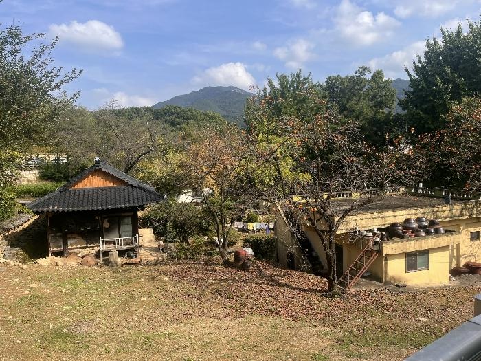 경상남도 창녕군 창녕읍 교리 1025 전 경매 사진 2