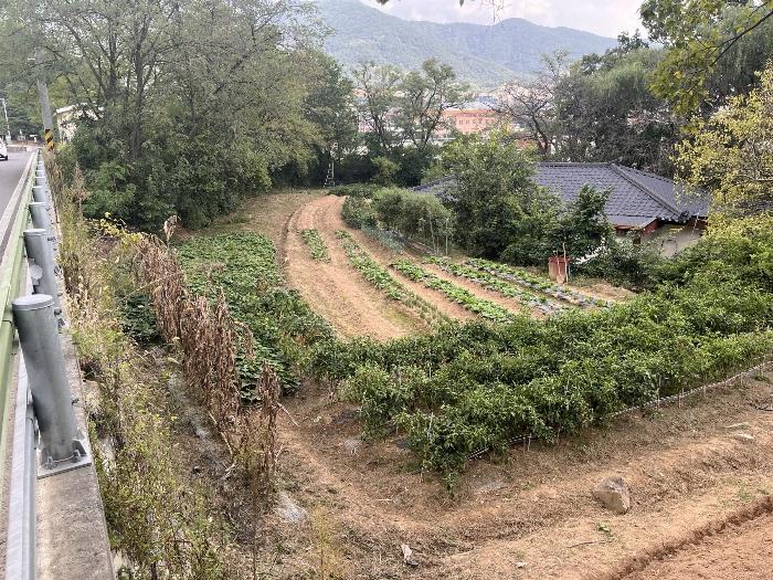 경상남도 창녕군 창녕읍 교리 1025 전 경매 사진 5