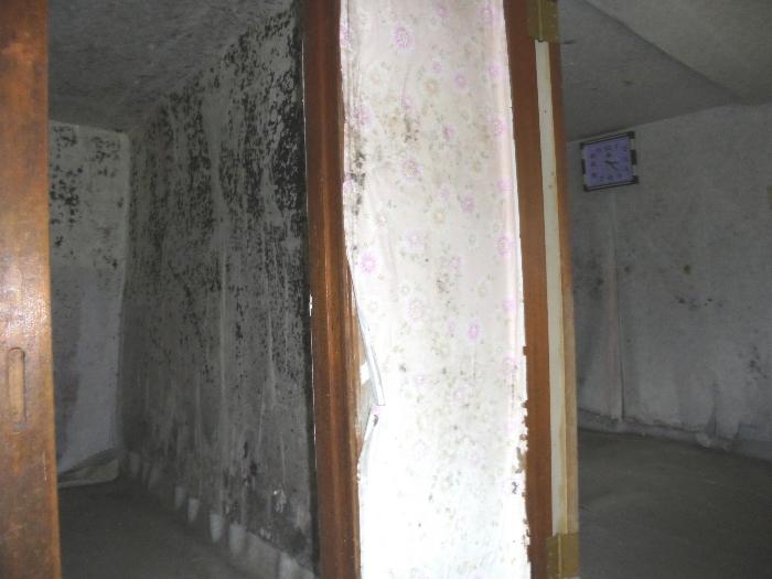 경상남도 밀양시 단장면 범도리 948 전 경매 사진 4
