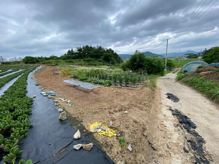 전라남도 무안군 일로읍 죽산리 821-2 전 경매 사진 7