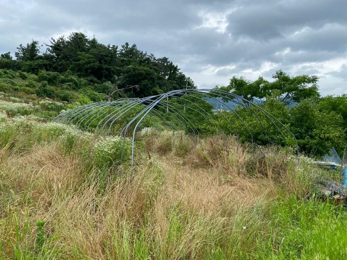 전라남도 무안군 일로읍 죽산리 821-2 전 경매 사진 8