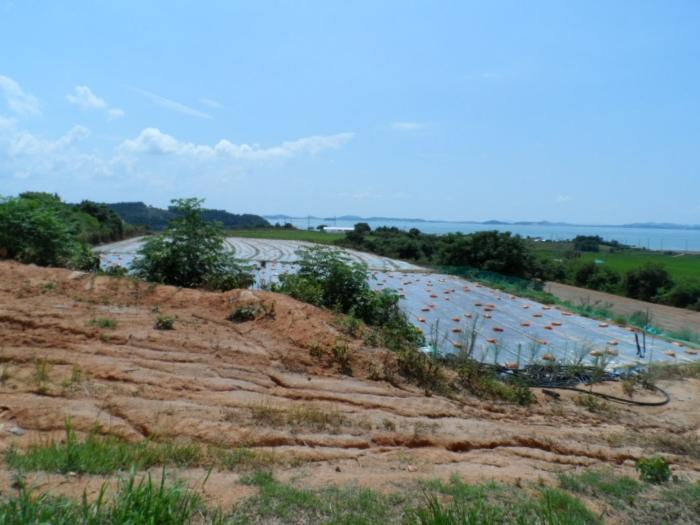 전라남도 함평군 손불면 학산리 907-1 전 경매 사진 20
