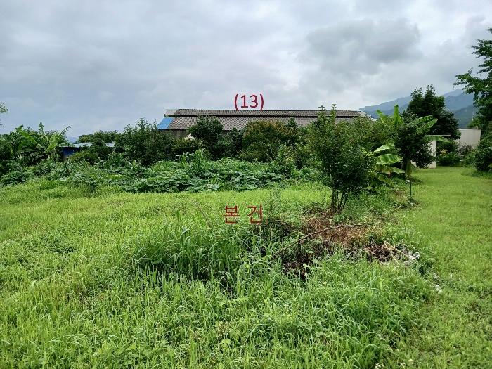 전라남도 영암군 군서면 월곡리 378-69 전 경매 사진 2