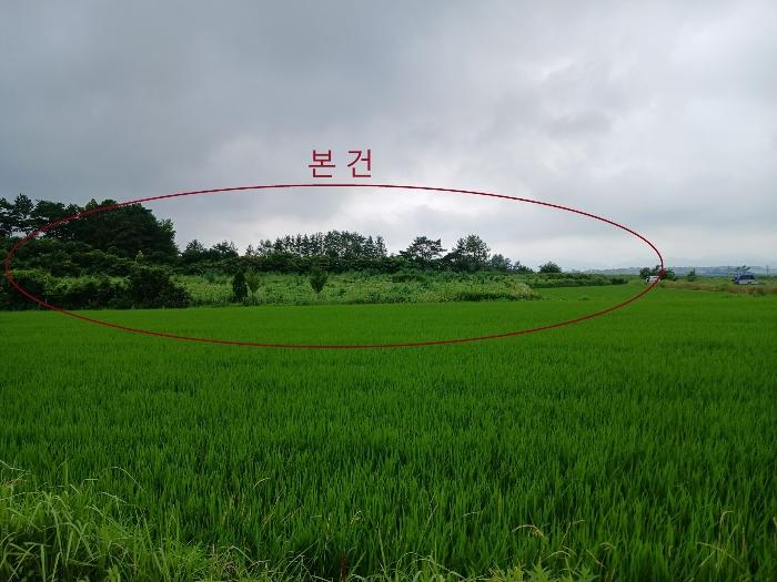 전라남도 영암군 군서면 월곡리 378-87 축사(농가시설) 경매 사진 6