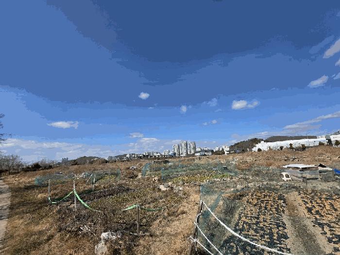 전라남도 무안군 삼향읍 남악리 2622-12 대지 경매 사진 1