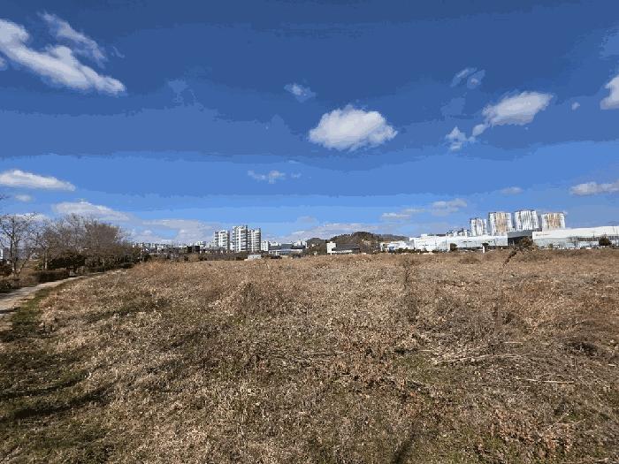 전라남도 무안군 삼향읍 남악리 2622-12 대지 경매 사진 2