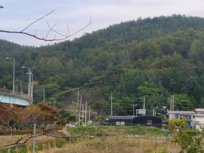 전라남도 고흥군 고흥읍 호형리 1006-7 전 경매 사진 6