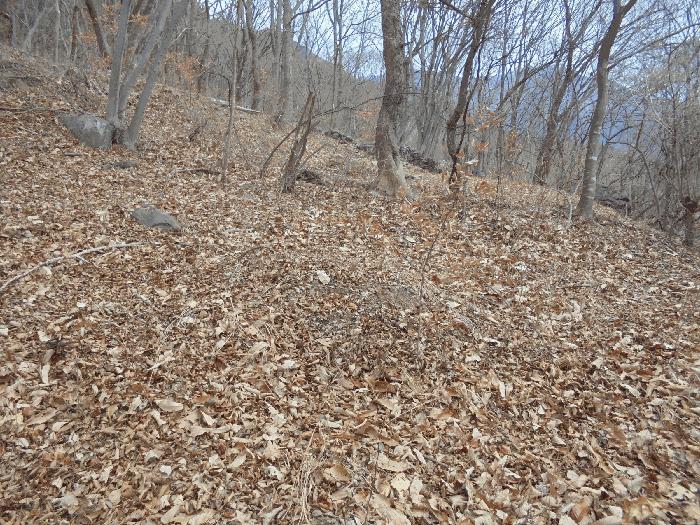 경상남도 밀양시 단장면 구천리 1866 임야 경매 사진 12
