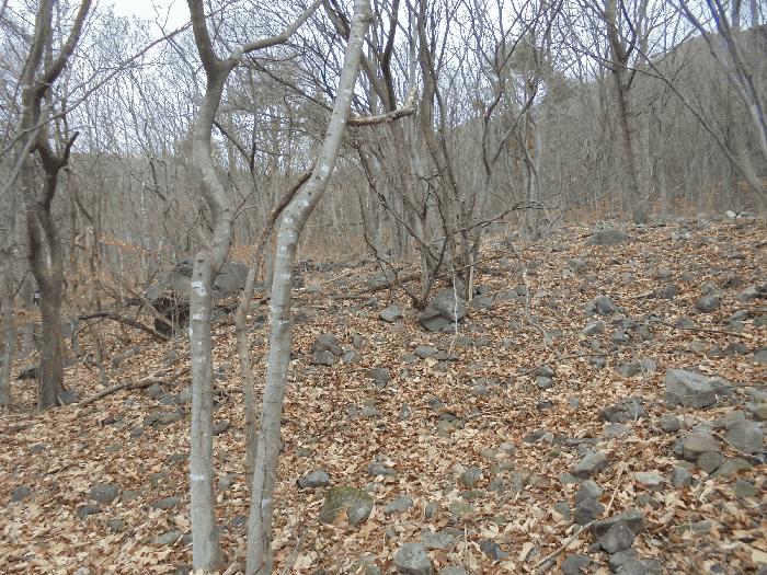 경상남도 밀양시 단장면 구천리 1866 임야 경매 사진 7