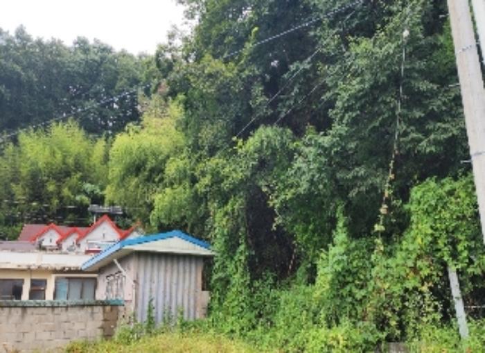 충청북도 영동군 영동읍 계산리 산24-7 임야 경매 사진 16