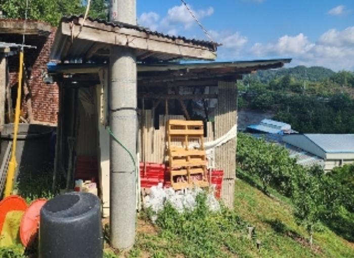 충청북도 영동군 영동읍 계산리 산24-7 임야 경매 사진 25