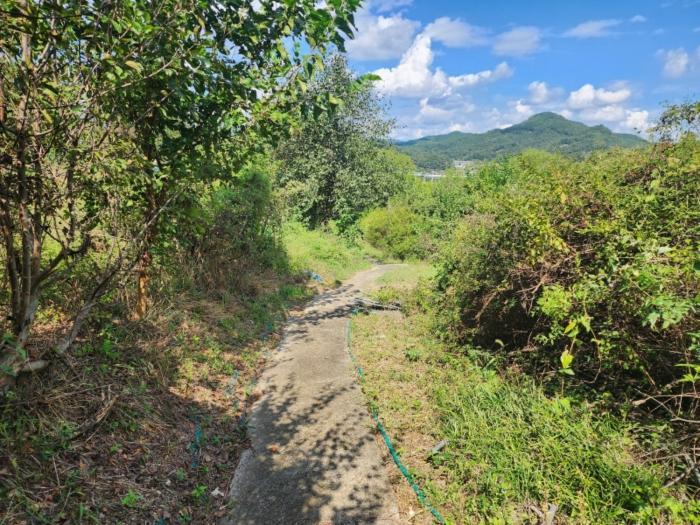 충청북도 영동군 심천면 약목리 811-2 전 경매 사진 11