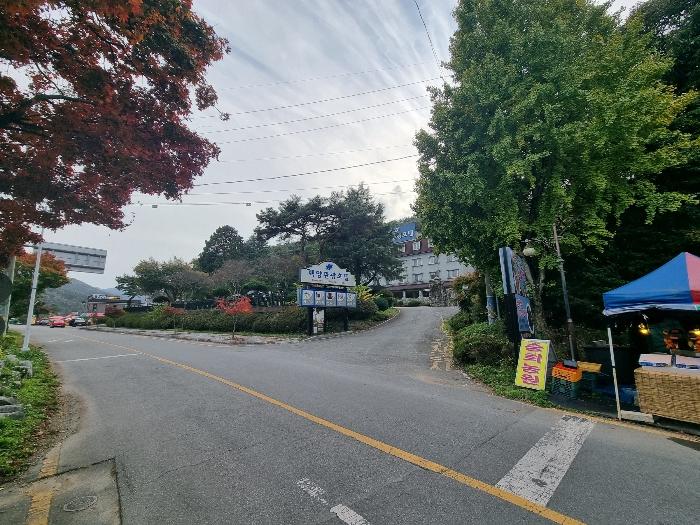 전라남도 장성군 북하면 약수리 산30 숙박시설 경매 사진 2