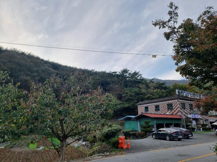 전라남도 장성군 북하면 약수리 산30 숙박시설 경매 사진 20