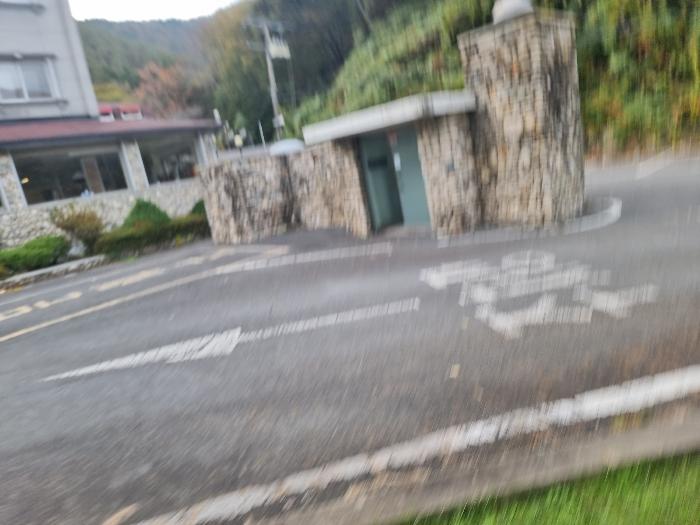 전라남도 장성군 북하면 약수리 산30 숙박시설 경매 사진 22