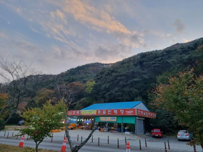 전라남도 장성군 북하면 약수리 산30 숙박시설 경매 사진 26
