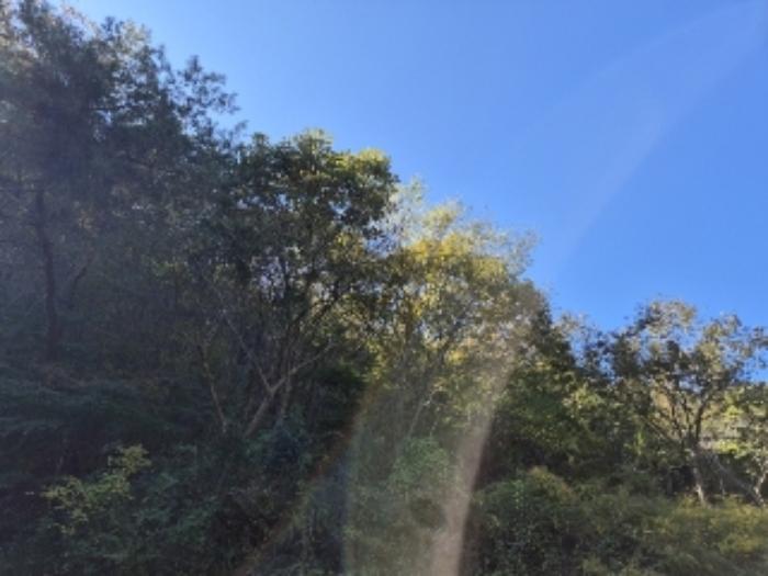 전라남도 장성군 북하면 약수리 산30 숙박시설 경매 사진 31
